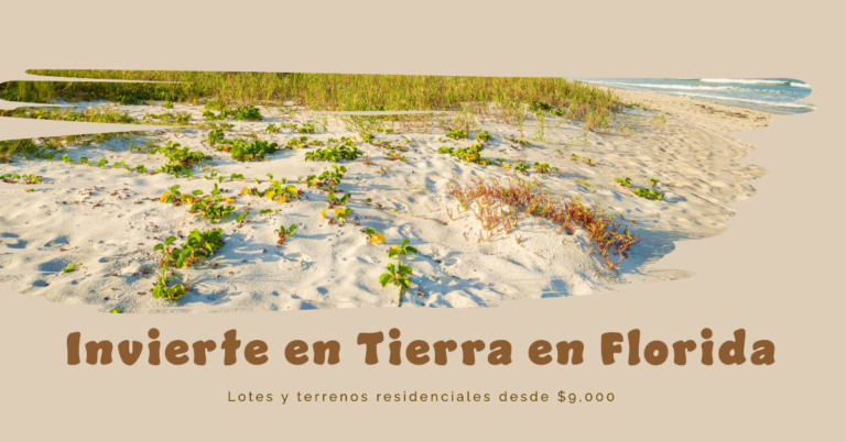 locales-para-negocios-alquiler